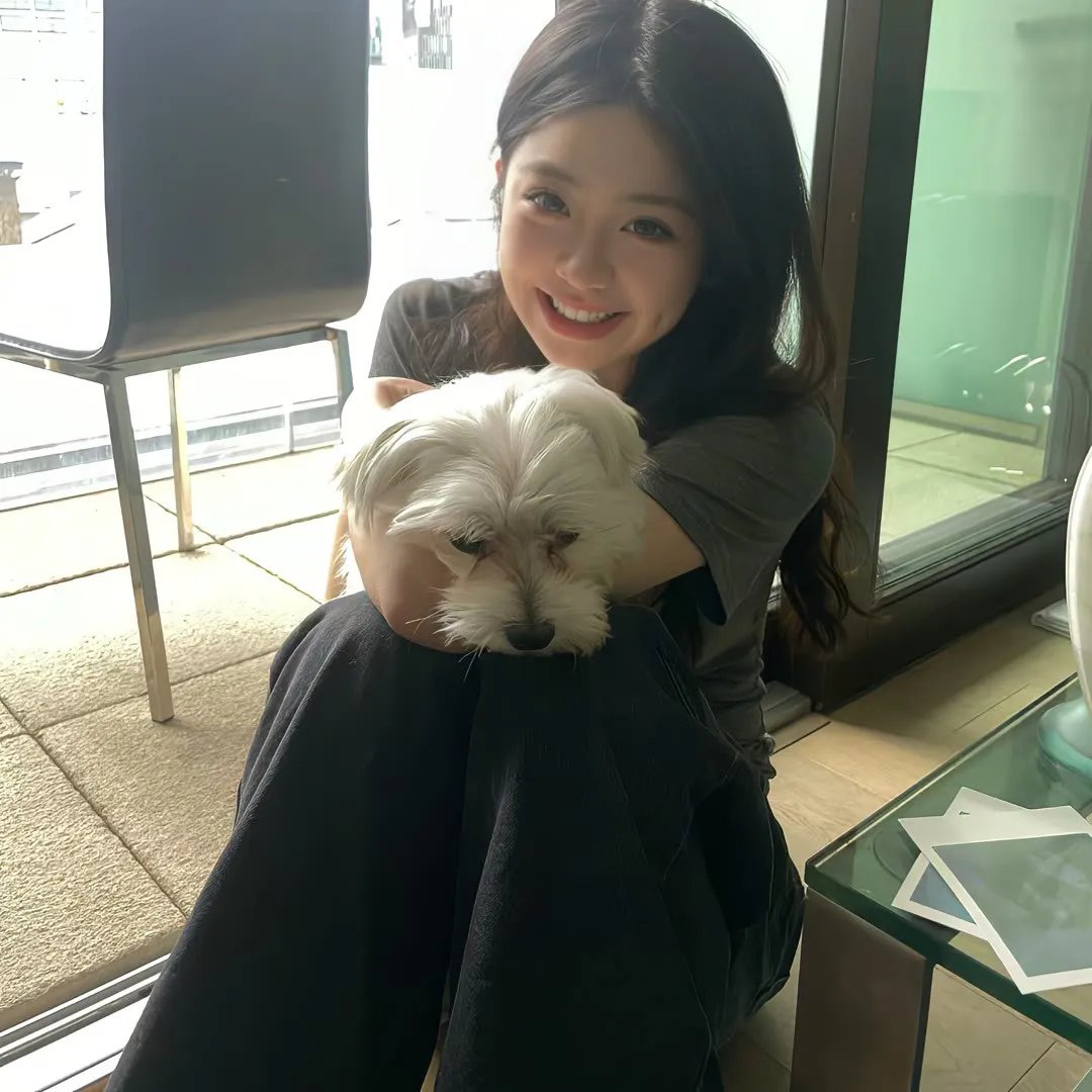 狗果定理
